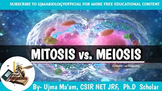 MITOSIS vs Meiosis  what is mitosis and meiosis  difference between Meiosis and mitosis [upl. by Ahtibat59]