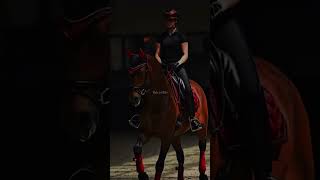 Dressage eraaudio bayequineofficial CREDITS eloquenceequestrian equestrain horse [upl. by Aserehs872]