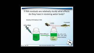 Paracetic Acid for Disinfection of Municipal Effluent [upl. by Costin]