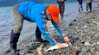 Snagging in Seward Alaska  The next Day [upl. by Adnawyt505]