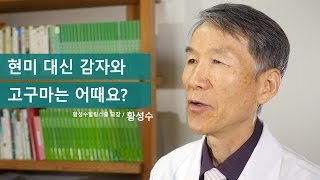 황성수TV 현미 대신 감자와 고구마는 어때요 [upl. by Misti]