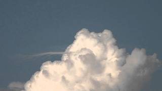 pileus timelapse [upl. by Sanburn]