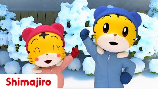 Playing in the Snow  Family  Brother amp Sister  3D Episode 20  Kids videos for kids  Shimajiro [upl. by Ecirtnuahs500]