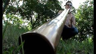 DIDGERIDOO  oboreal play on didgelement  tree to flood [upl. by Musihc]