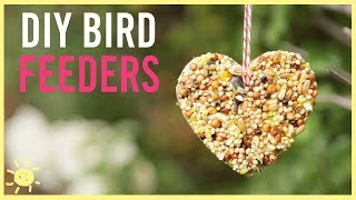 DIY  How to Make a Bird Feeder Easy Kids Craft [upl. by Ahsinrev]