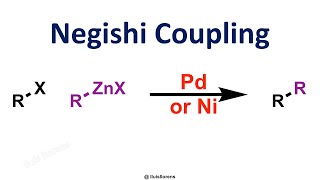 Negishi Coupling [upl. by Einahteb]