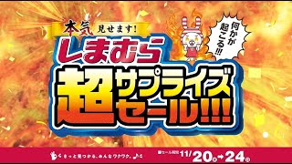 11月20日、しまむらで何かが起こる！本気見せます！ しまむら超サプライズセール開催！ [upl. by Rendrag]