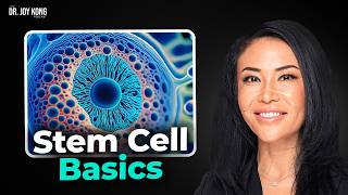 What Are the Different Types of Stem Cells [upl. by Aneladgam779]