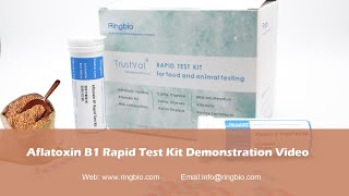 Training video for Ringbio Aflatoxin B1 Rapid Test Kit [upl. by Calandria]