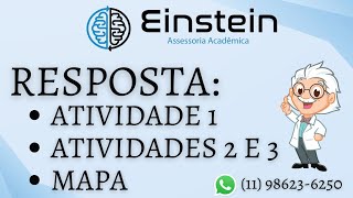 ATIVIDADE 1  SISTEMAS DE INFORMAÇÕES GERENCIAIS  532024 [upl. by Carrissa]