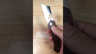 TOP PICK UNDER 100 LARGE FOLDING EDC KNIFE CLEAVER STYLE BLADE BESTECH SKIRMISH KNIFE REVIEW [upl. by Brenna]