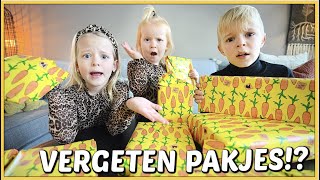 SiNTERKLAASCADEAUTJES VERGETEN OM TE TESTEN 😱  Bellinga Vlog 2281 [upl. by Einram285]