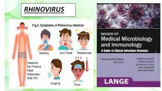 Microbiology  Rhinovirus microbiology rhinovirus [upl. by Enneite]