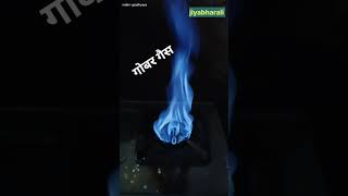 Gobar gasyoutubeshorts viralvideo fire gobargas naturalgas [upl. by Allyce]