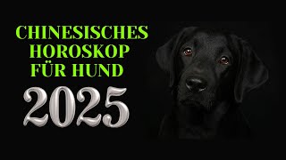 Hund  2025 Chinesisches Horoskop Das Jahr der grünen Schlange [upl. by Hazard]