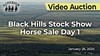 Black Hills Stock Show Horse Sale Day 1 [upl. by Knox882]