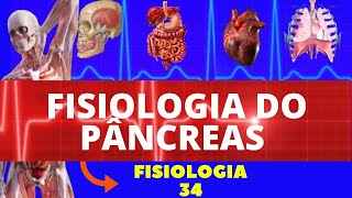 FISIOLOGIA DO PÂNCREAS ENDÓCRINO INSULINA E GLUCAGON  FISIOLOGIA HUMANA  FISIOLOGIA DE GUYTON [upl. by Buford]