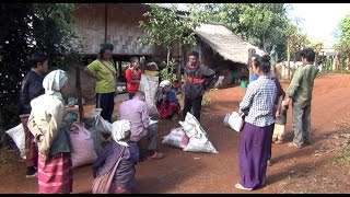 Durga Productions  Mystic Hilltribe Thailand Coffee Production and Life [upl. by Noivax282]