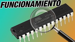 FUNCIONAMIENTO microcontrolador ATMEGA328P  BIEN EXPLICADO 2020 [upl. by Chemaram431]