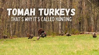 Tomah Turkeys Part 1  quotThats Why Its Called Huntingquot  Wisconsin Turkey Hunting 2023 [upl. by Arlie70]