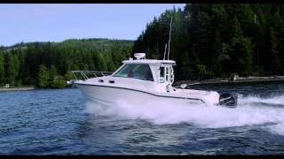 Boston Whaler 315 Conquest Pilothouse [upl. by Nahtam]