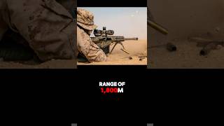 The Evolution of Sniper Rifles military history [upl. by Scales]