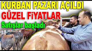 Kurban Pazarı Kurbanlık Fiyatları 2024 Ankara Altındağ  Hayvan Pazarı Canlı Baskül Fiyatı 2024 [upl. by Endor]