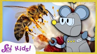 How Do Bees Make Honey  The Science of Food  SciShow Kids [upl. by Petigny711]