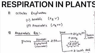 RESPIRATION IN PLANTS NOTESbotanybydrjaswinderkaur [upl. by Eldridge]