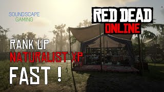 XP Rank up FAST  Naturalist Role XP Harriet Davenport  Red Dead Redemption 2 Online [upl. by Stanislas71]