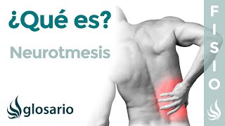 NEUROTMESIS  Qué es qué afecta síntomas signos clínicos causas y tratamiento fisioterapéutico [upl. by Eimat]