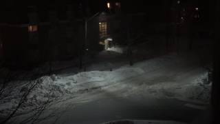 Snow Storm  LIVE WEBCAM  Fredericton NB [upl. by Ewen46]