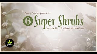 Six Super Shrubs for Pacific Northwest Gardens [upl. by Brodeur120]