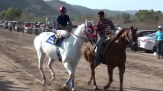 CARRERAS DE CABALLOS EN EL ROSARIO [upl. by Cirilla]