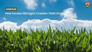 How Excess Nitrogen Creates Yield Drag  John Kempf and Advancing Eco Agriculture [upl. by Akirat847]