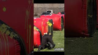 Shooting pods open shorts finnishpaintball paintball paintballfi [upl. by Enelec]