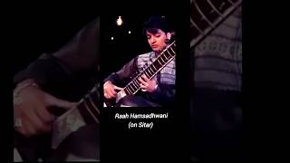 Raag Hamsadhwani on Sitar [upl. by Llerol]