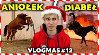 KONIE SAME SKACZĄ 😱  Wielki progres Lovki w treningu  VLOGMAS 12 [upl. by Maximilianus]