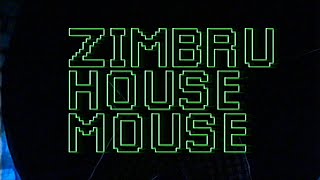 Zimbru  House Mouse [upl. by Nylassej]