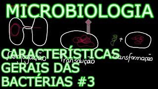 Aula Microbiologia Médica 6  Características Gerais das Bactérias 3 [upl. by Gavini]