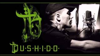 Bushido  Du Toy Ich Tight feat DBo amp Fler  Rare amp Unreleased [upl. by Retsev]