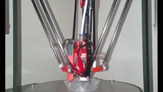 FLSUN Delta 3D Printer Time Lapse [upl. by Rachel]