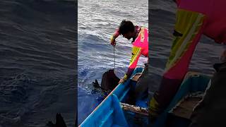 Monster ❤‍🔥 Sword Fish Catching In Deep Inshore fishing [upl. by Lauralee]