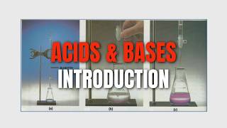 Arrhenius amp Lowry Bronsted Acids amp Bases Introduction Grade 12 [upl. by Alan]