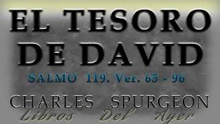 EL TESORO DE DAVID  SALMO 119  Ver 65  96 [upl. by Joleen309]