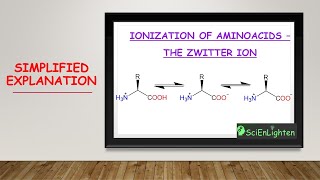 Amino Acids ionization [upl. by Cesya]