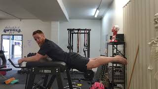 How To Do IsoDynamic Reverse Hypers To Help Lower Back Pain [upl. by Platus434]