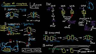 PHARMACOLOGY 6  Types of Receptors [upl. by Kristianson678]