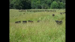 How I have Extended My Grazing Season [upl. by Muns]