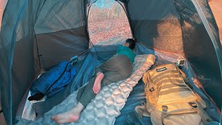 Solo Camping  on a mountain with dry trees in the summer  Relaxing ASMR [upl. by Ihsar773]